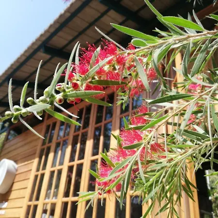 Paiyannoi Guesthome